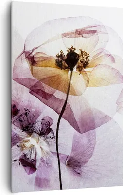 Produktbild von Bild auf Leinwand - Leinwandbild - Einteilig - blume sommer natur - 80x120cm - Wand Bild - Wanddeko - Wandbilder - Leinwanddruck - Wanddekoration - Leinwand bilder - Wandbild - PA80x120-3821