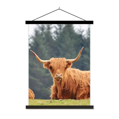 Produktbild von MuchoWow® Textilposter Schottische Highlander - Gras - Wald 40x53 cm mit schwarzem Rahmen - Abbildung