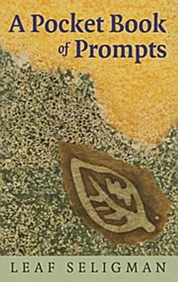 Obrázok produktu pre A Pocket Book of Prompts