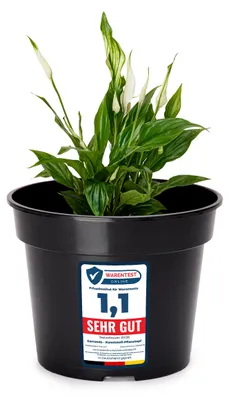 Produktbild von Garronda Blumentopf GD-0025 (1 Stück - Schwarz, ⌀ 19cm H=15cm)