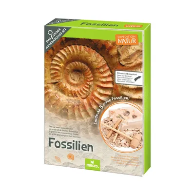 Produktbild von moses Expedition Natur Das große Fossilien-Ausgrabungs-Set