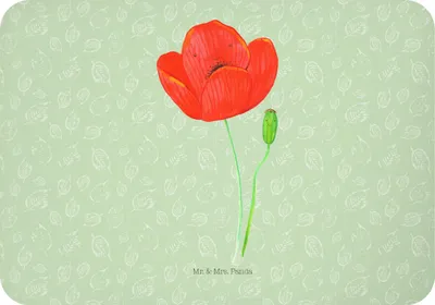 Produktbild von Mr. & Mrs. Panda Kühlschrankmagnet Blume Mohnblume - Blattgrün - Geschenk, Garten, Mohn, Religion, zettelhalter, magnet, Respekt, büromagnet, Glaube, Notizhalter