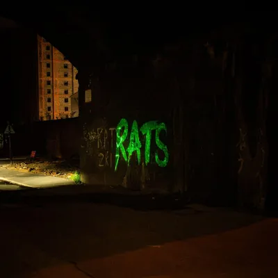 Obrázok produktu pre The Rats: The Rats: Rule The World -   - (CD / R)