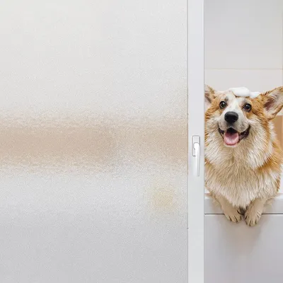 Produktbild von Fensterfolie, Sichtschutzfolie, selbstklebend, für Fenster