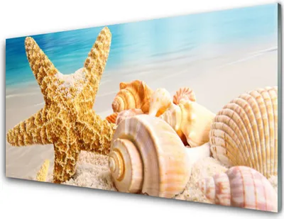 Produktbild von Acrylglasbilder 100x50 Wandbild Druck Seestern Muscheln Kunst