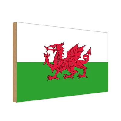 Produktbild von vianmo Holzschild 30x40 cm Wales Flagge Geburtstag Feiern Party