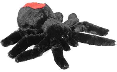 Produktbild von Wild Republic Pluschtiere Vogelspinne - Spinne Insekten Pluschtier