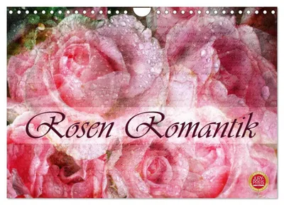 Produktbild von Rosen Romantik (Wandkalender 2027 DIN A4 quer), CALVENDO Monatskalender
