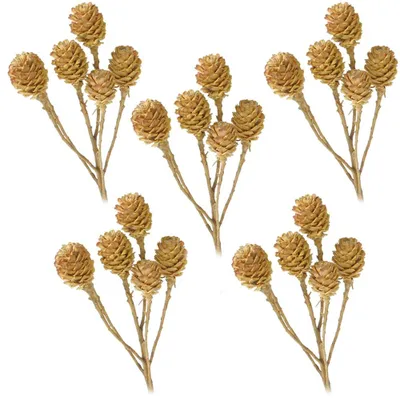 Productafbeelding van Salingtakken, 6 stuks, zonder bladeren, gedroogde bloemen, natuurlijke, lichte kleur, set van 5