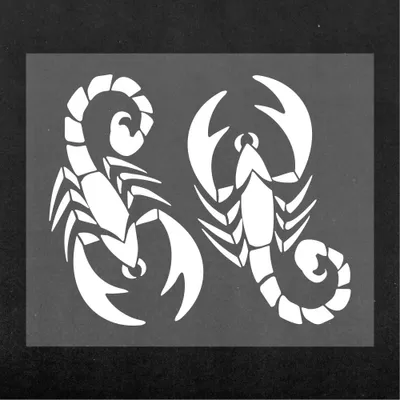 Produktbild von Sticker Aufkleber Skorpion Weiß 14 x 16 cm