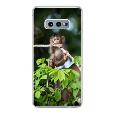 Produktbild von MuchoWow® Handyhülle Schutzhülle Hülle für Samsung Galaxy S10e Baby - Affe - Äste Silikon Softcase Handy Hülle - Handy