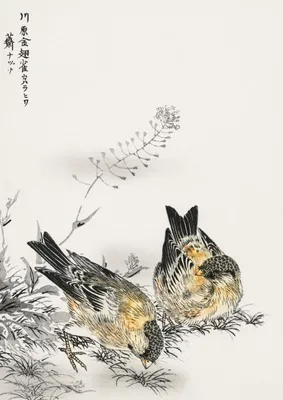 Immagine prodotto di Poster 29,7x42cm  Greenfinch, Kashu Giapponese Vintage per il soggiorno