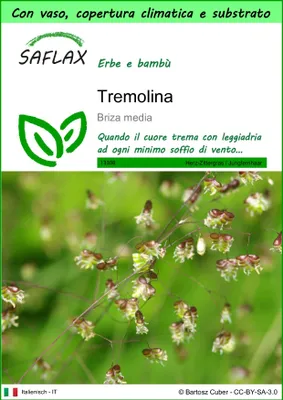 Immagine prodotto di SAFLAX Garden to go - Tremolina - 75 semi - Briza