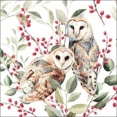 Produktbild von Servietten Papier 33x33cm 3-lag. mit Eulen & Beerenzweigen 20 Stück