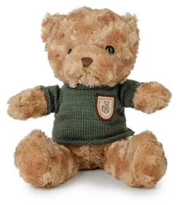 Imagen del producto de Osoito de peluche con un suéter verde, 22 cm