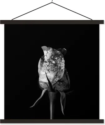Produktbild von MuchoWow® Textilposter Rosen - Blumen - Farbe - Schwarz - Weiß 60x60 cm mit schwarzem Rahmen - Posteraufhänger