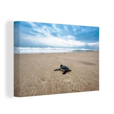 Obrázok produktu pre OneMillionCanvasses® - Maľba na plátne - Obraz na plátne Nástenná maľba na plátne - Pláž - more - korytnačka - 150x100cm - Fotografia na plátne -