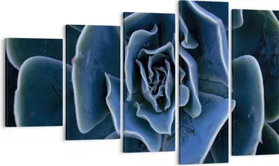 Produktbild von Bild auf Leinwand - Leinwandbild - 5 Teile - Blau Kaktus Blume - 100x60cm - Wand Bild - Wanddeko - Wandbilder - Leinwanddruck - Bilder - Wanddekoration - Leinwand bilder - Wandbild - EG100x60-5008