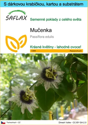 Obrázek produktu pro SAFLAX Dárková sada - mučenka - Passiflora edulis - 40 Semena - S dárkovou krabičkou, přepravním štítkem, dárkovou kartou a pěstebním médiem