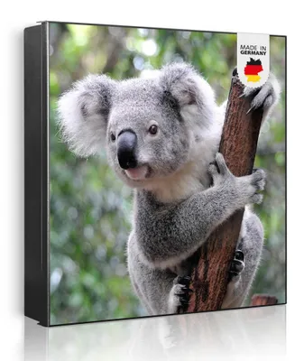 Produktbild von banjado Schlüsselkasten aus Metall, 30x30cm groß mit 32 Haken, als Magnettafel nutzbar, Korpus schwarz, Anschlag rechts, Koala [SKG1 10224]