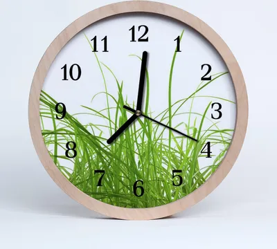 Produktbild von Holzuhr 20fi cm wanduhr - Gras