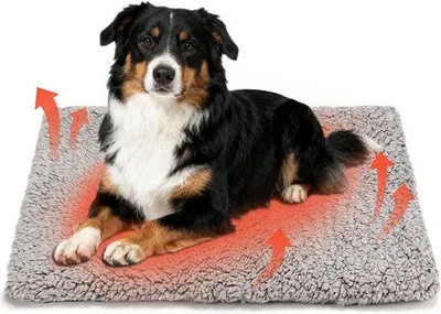Obrázok produktu pre Malý, prateľný fleecový vankúš pre psov, 115 x 70 cm, na zimu a pre teplo, sivý, pre malé psy, samozahrievací, termický