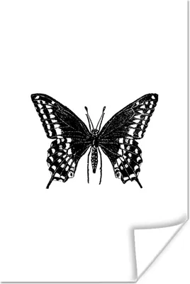 Produktbild von MuchoWow® Poster Schmetterling - Tiere - Retro - Schwarz und weiß 120x180 cm - Kunstposter