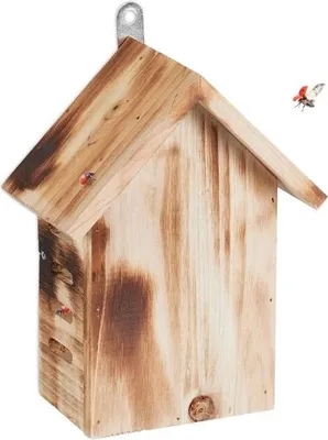 Image de Maison de coccinelle en bois