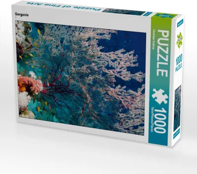 Produktbild von Calvendo Gorgonie 1000 Teile Puzzle quer 640x480mm, Suttrop Christian; 7280603