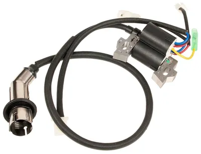 Obrázek produktu pro Loncin LC7500I LC7000I zapalovací modul ORIGINÁLNÍ DÍL 271000293-0001