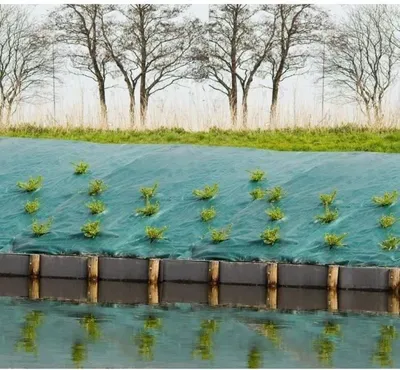 Image de Toile de Paillage Verte, 1 x 10 m, Anti-UV, 100 g/m², Haute Densité