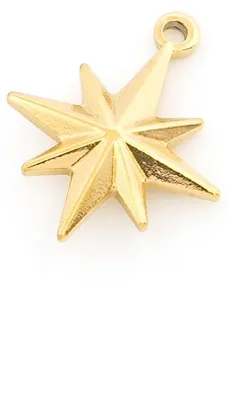 Produktbild von Vintageparts Anhänger Polarstern Edelstahl 304 21mm IP-Gold