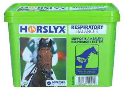 Zdjęcie produktu dla Horslyx Respiratory 5 kg – lizawka wspierająca drogi oddechowe koni