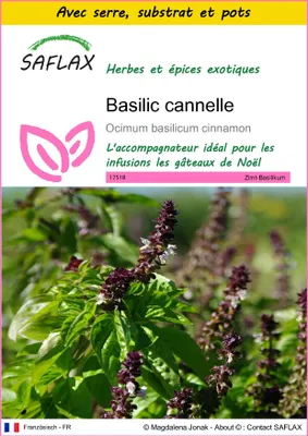 Image de SAFLAX Ensemble de culture - Basilic cannelle - 200 graines - Ocimum