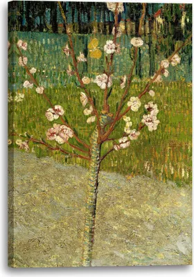 Produktbild von Leinwandbild (70x100cm): Vincent van Gogh - Blühender Mandelbaum, echter Holz-Keilrahmen inkl. Aufhänger, handgefertigt in Deutschland