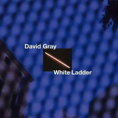 Productafbeelding van Witte Ladder