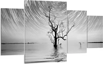 Produktbild von Bild auf Leinwand - Leinwandbild - 4 Teile - Schwarzweiß Baum See - 160x90cm - Wand Bild - Wanddeko - Wandbilder - Leinwanddruck - Bilder - Wanddekoration - Leinwand bilder - Wandbild - DL160x90-4253