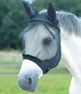 Image de Busse masque anti-mouches FLY BUCKLER II noir, Busse_17_tailles:XWB