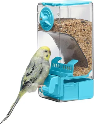 Immagine prodotto di Mangiatoia automatica per uccelli con posatoio