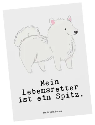 Produktbild von Mr. & Mrs. Panda Postkarte Spitz Lebensretter - Weiß - Geschenk, Postkarten, Fotokarte, Grußkarte, Ansichtskarte, Ansichtskarten