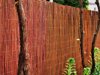 Produktbild von Weidenmatte BASIC 300 x 100 cm