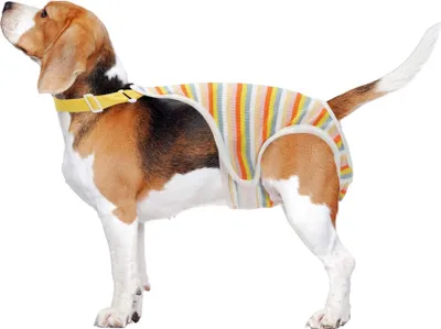 Produktbild von Hundewindeln für Hündinnen, Periodenwindeln, physiologische Höschen für Welpen, Haustierunterwäsche, waschbare, wiederverwendbare Hosen mit verstellbarem Hosenträger Gelb S