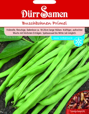Produktbild von Dürr-Samen - Buschbohnen Primel - Saatgut - 0307