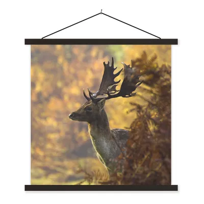 Produktbild von MuchoWow® Textilposter Hirsche - Geweihe - Herbst 60x60 cm mit schwarzem Rahmen - Posteraufhänger