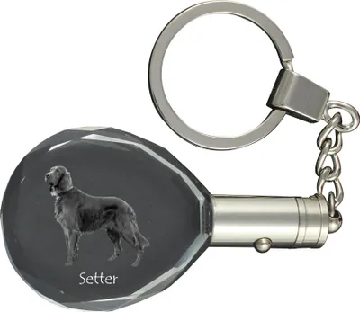 Produktbild von English Setter, Englischer Setter I - Anhänger mit einem Foto eines Hundes, Schlüsselanhänger aus Kristall in einer Geschenkbox, ein einzigartiges Geschenk von Art-Dog