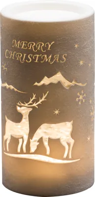 Produktbild von LED Laterne Rentier, Weihnachtsmann und Schlitten, wassergefüllt, Zylinderform, 5h Timer, warm weiße Diode, batteriebetrieben, Innen