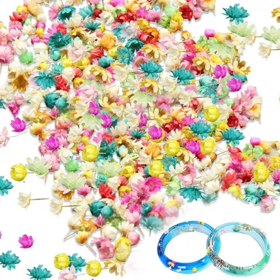 850 Mini-Trockenblumen für Harz, bunt, 0,3–0,5 Zoll