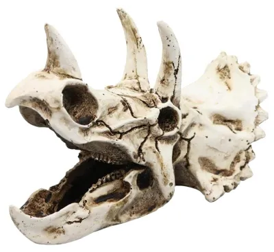Image de Décoration de dinosaure pour aquarium