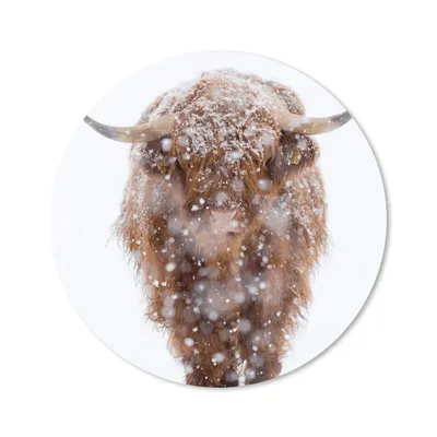 Produktbild von MuchoWow® Mauspad Mousepad Schottischer Highlander - Kuh - Schnee 50x50 cm - Mousepads - Maus Mat - Pad - Mausunterlage - Vinyl