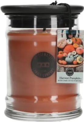 Produktbild von Bridgewater Candle Small Jar Harvest Pumpkin 250 g